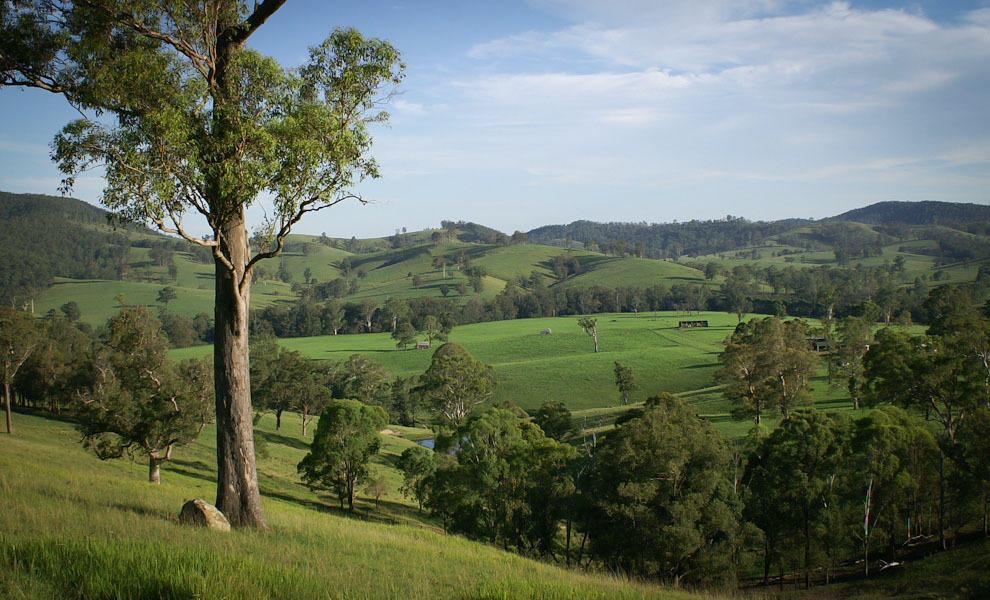 Riverwood Downs Of Barrington Tops Monkerai Exterior foto